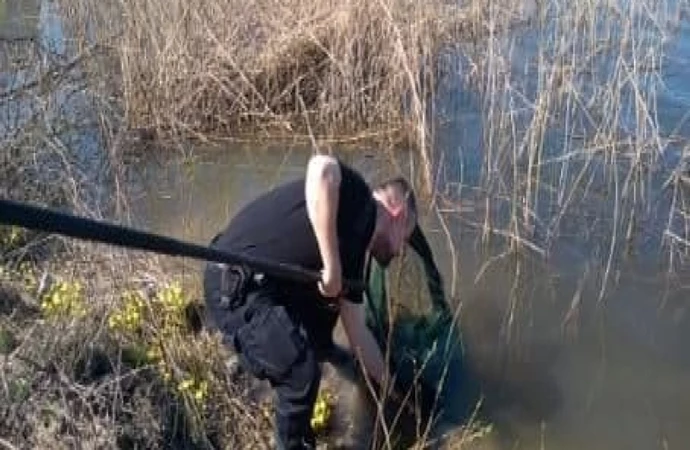 Funkcjonariusze olsztyńskiej Straży Miejskiej pomogli rannej rybitwie.